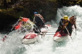 Жомболок, пор. Недотрога. Фото 3