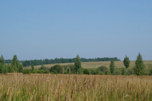 Мордовская священная роща Явлей. Вид с дороги Лукоянов-Болдино. 2.5 км. Фото 2
