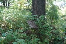 Мордовское святилище в 760 метрах к югу от кургана Кшекуравай. Фото 4