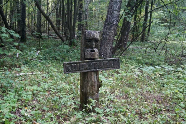 Указательный идол. Курган (маар по-эрзянски) Кшекуравай налево от него около 150 метров
