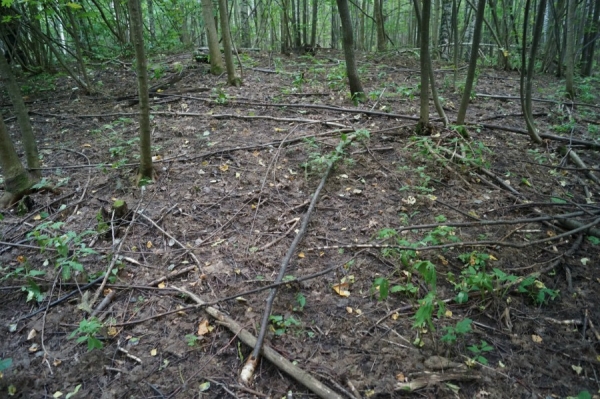 Курган Кшекуравай. Фото 2