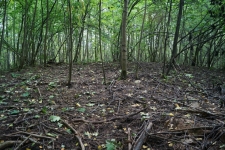 Курган Кшекуравай. Фото 3