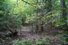 Курган Кшекуравай. Фото 4