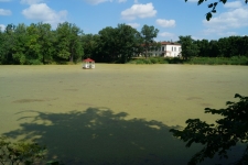 Главный пруд с плавающей беседкой, фото 2