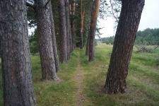 Царский скит. Богородичная аллея. Фото 4