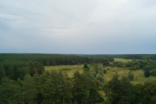 Вид на Царский скит с пожарной вышки. Фото 3