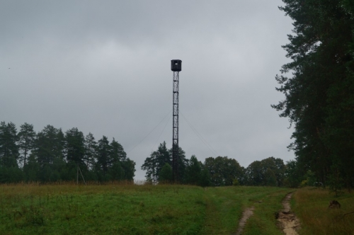 Пожарная вышка в Царском скиту. Фото 2