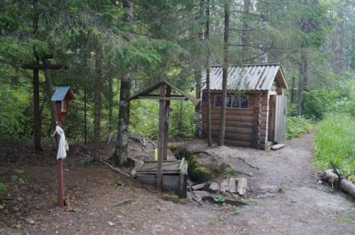 Святой родник у Дальнего (Большого камня) в Царском Скиту