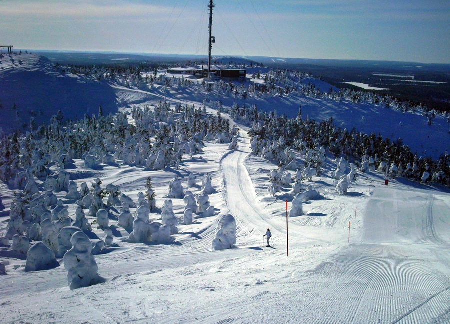    Ruka.  4