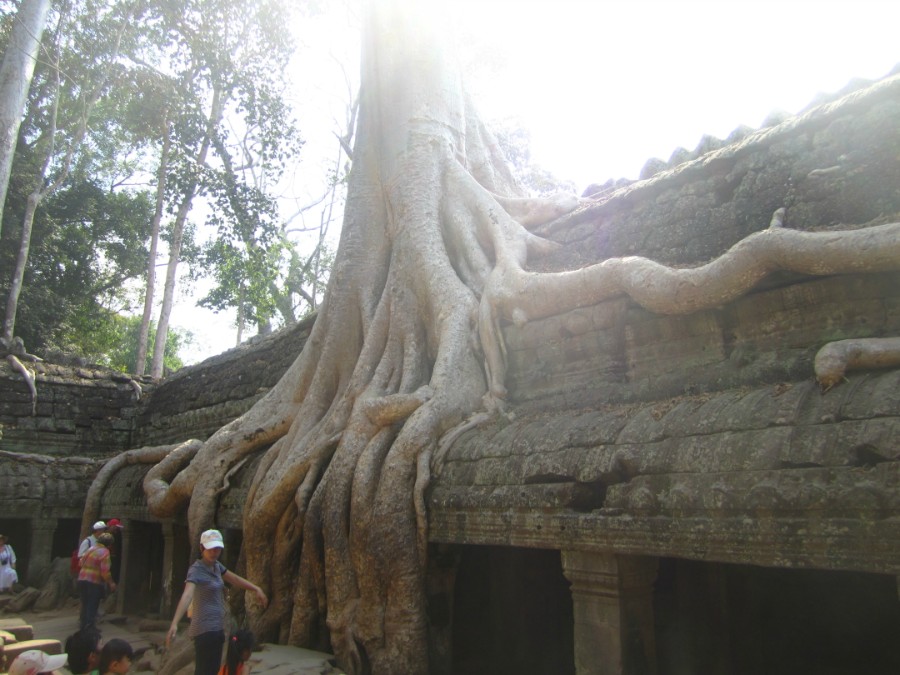 Ta Prohm, 3