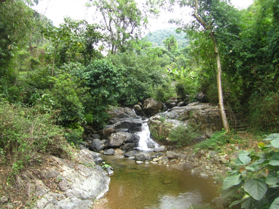    Kaeng Nyui