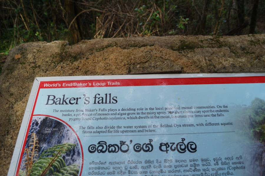     \"Baker\"s Falls\"