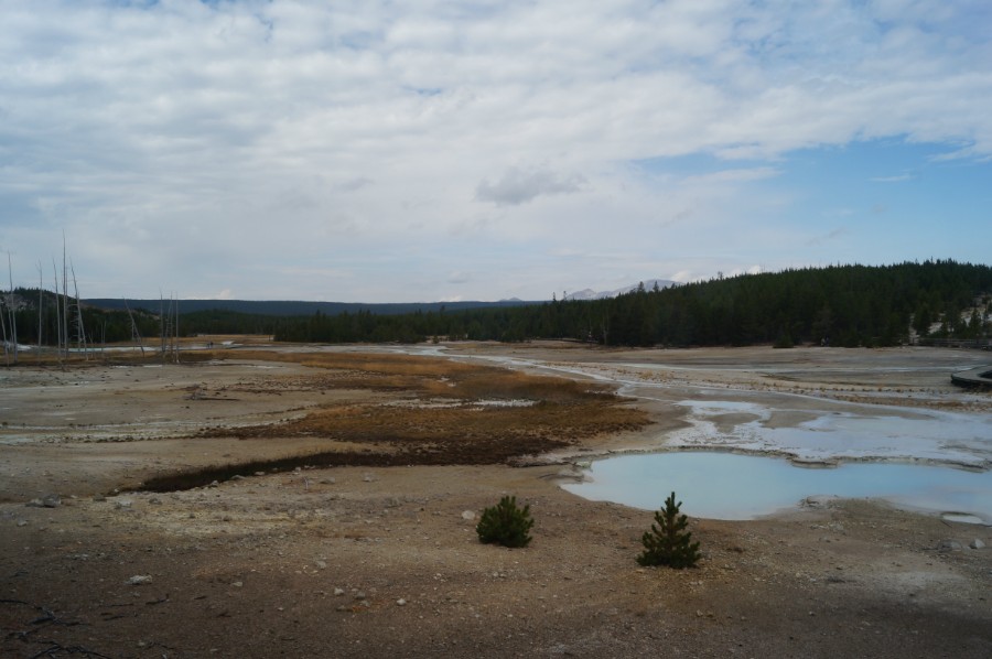    (Norris Geyser Basin),  8