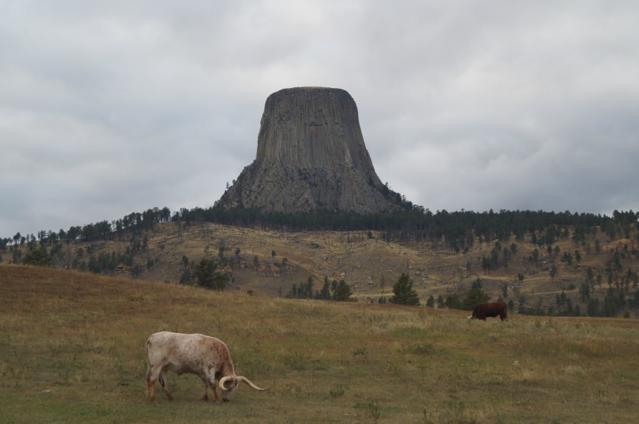       (Devil’s Tower)