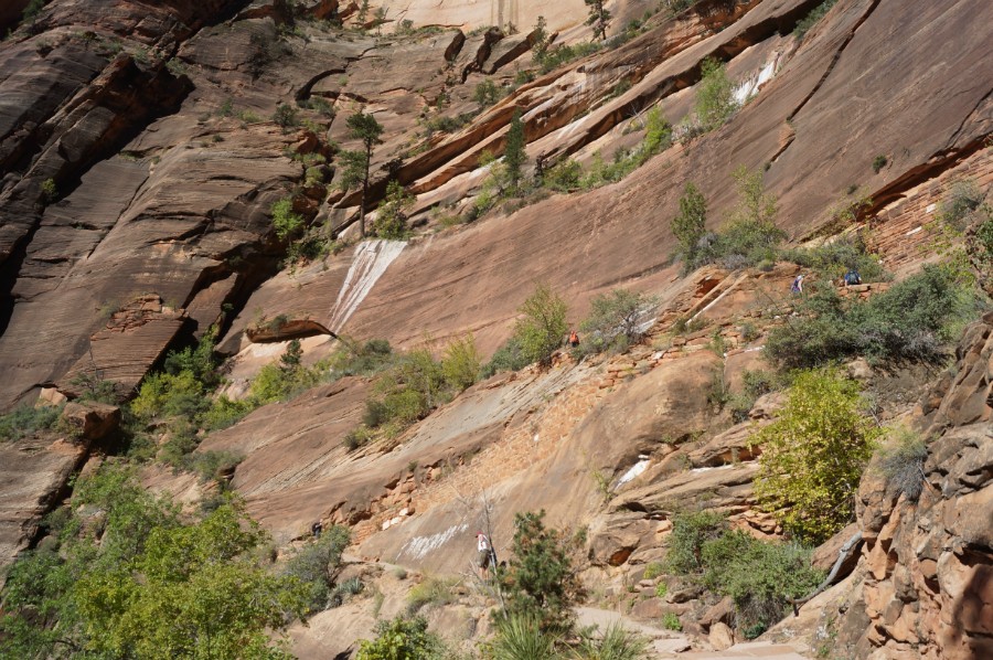      (Top of Angels Landing )