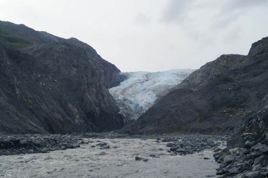 Exit Glacier   -  