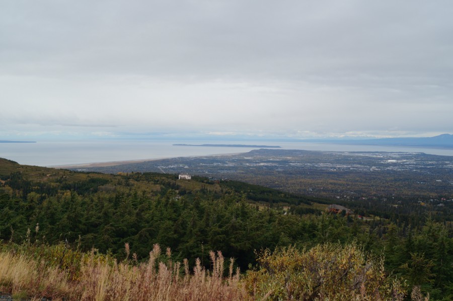        Flattop lookout  2