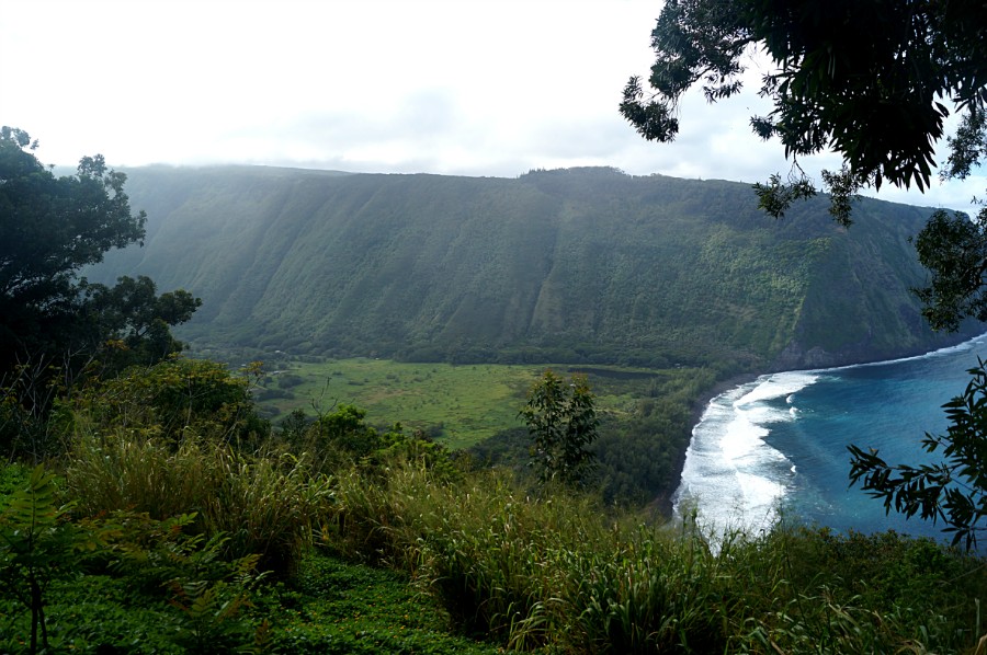   Waipio () -       