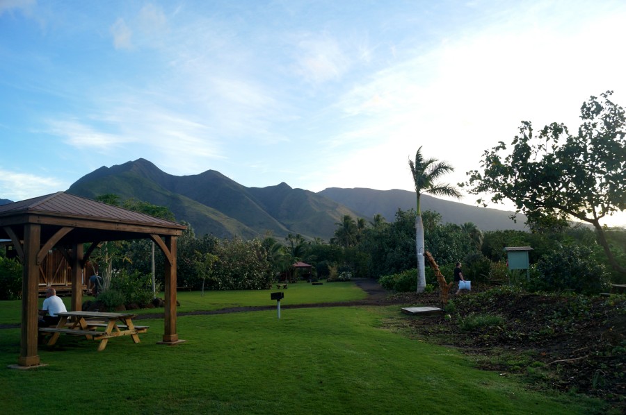   Camp Olowalu