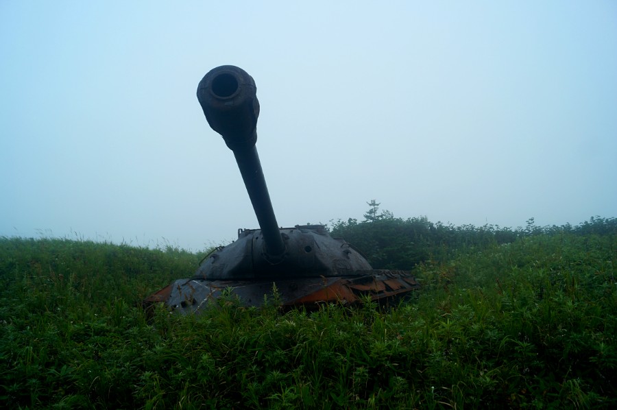 Как их сюда затащили?