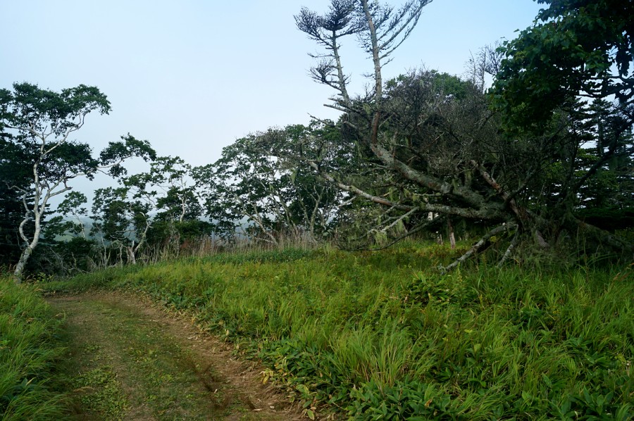 По квадроциклетной дороге в бухту Димитрова