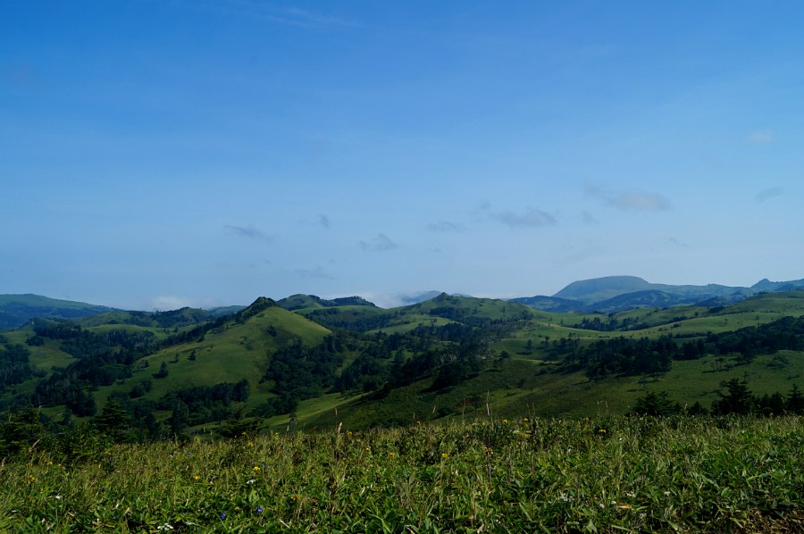 Гора Шикотан - самая высокая на одноименном острове. Фото по дороге в бухту Димитрова