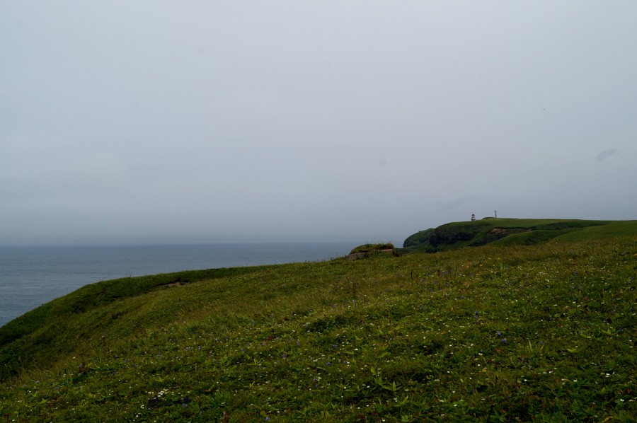 Мыс Краб с маяком Шпанберга