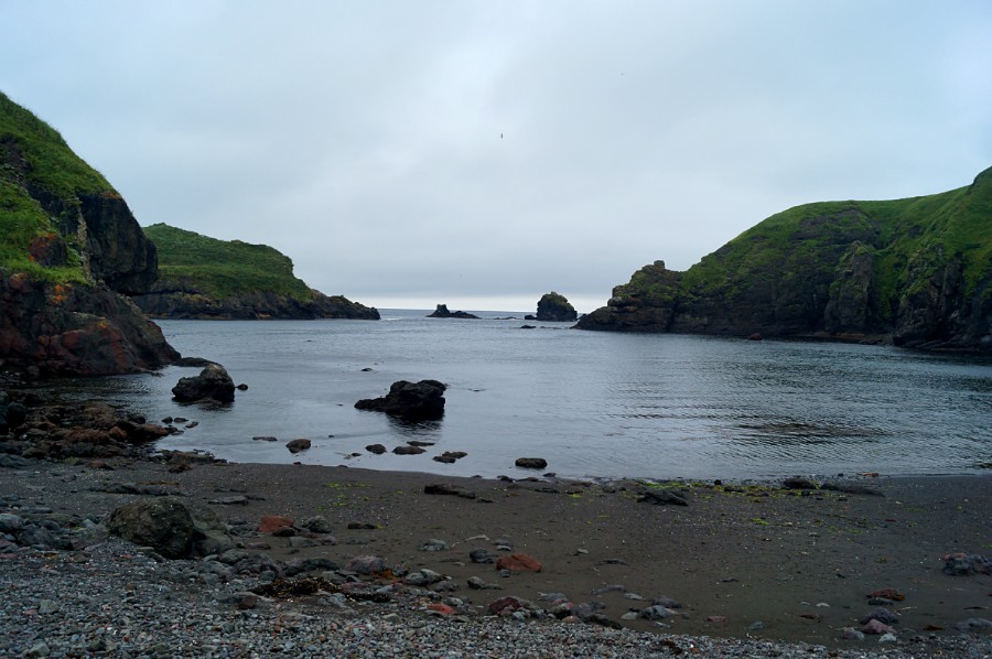 Бухта Крабовая в отлив