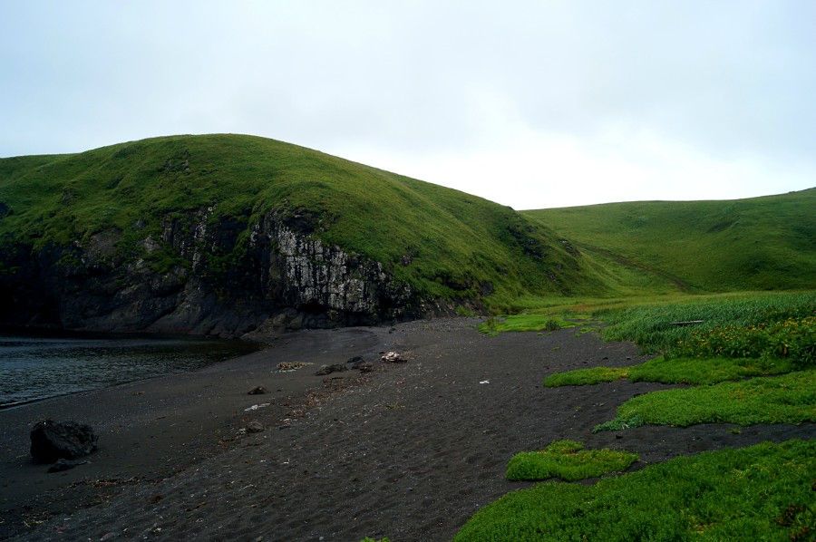 Берег крабовой бухты у мыса