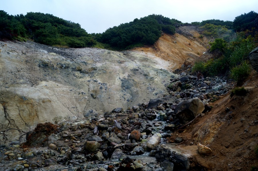 Склоны ручья с теплой водой, на выходе с Сольфатарного поля. Фото вверх от ванночки