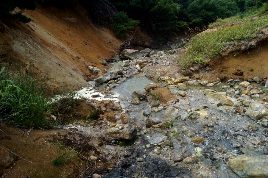 Склоны ручья с теплой водой, на выходе с Сольфатарного поля. Фото вниз от ванночки