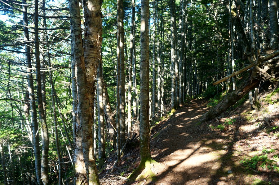 На спуске по