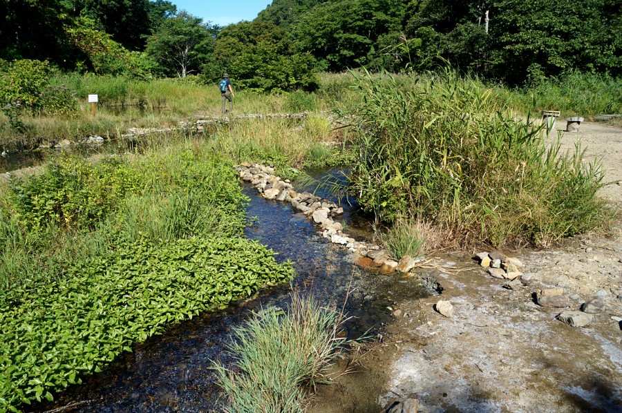 Ручьи с очень горячей и холодной водой