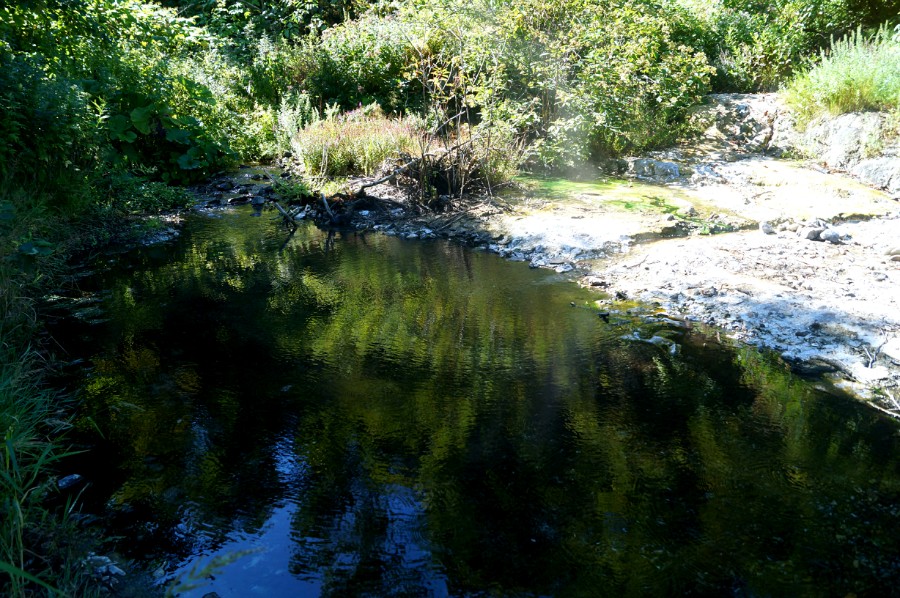 А здесь можно искупаться