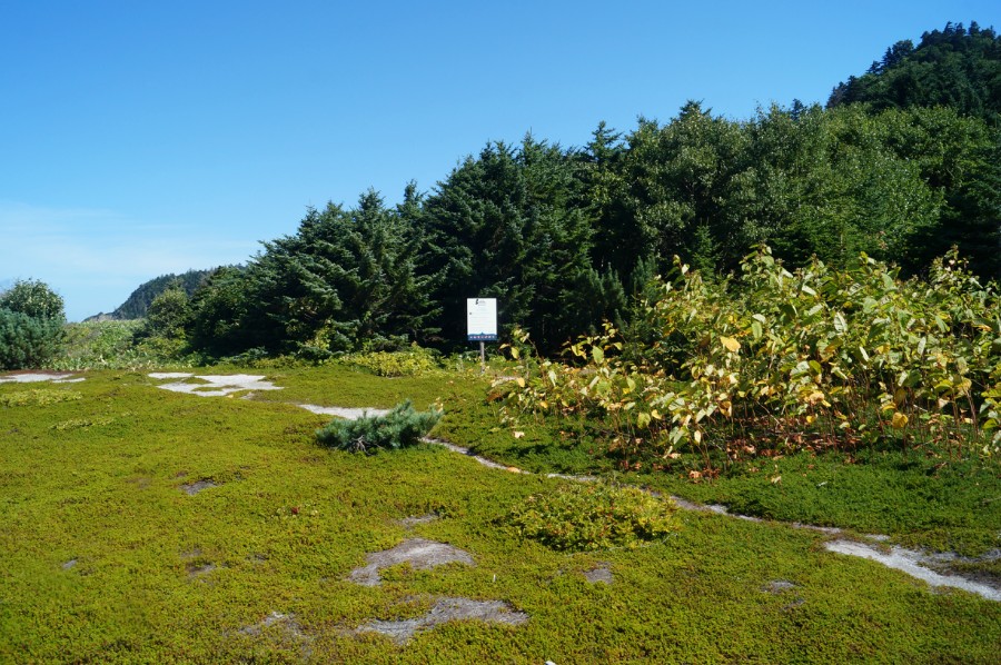 Стенд стоянки