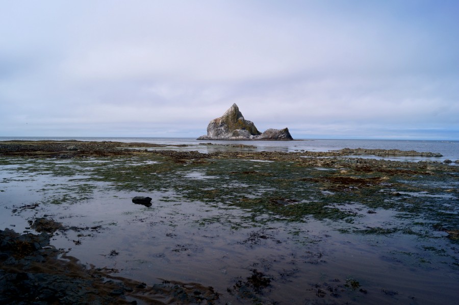 Остров Гайнутдинова, напротив мыса Круглый. На нем всегда много чаек