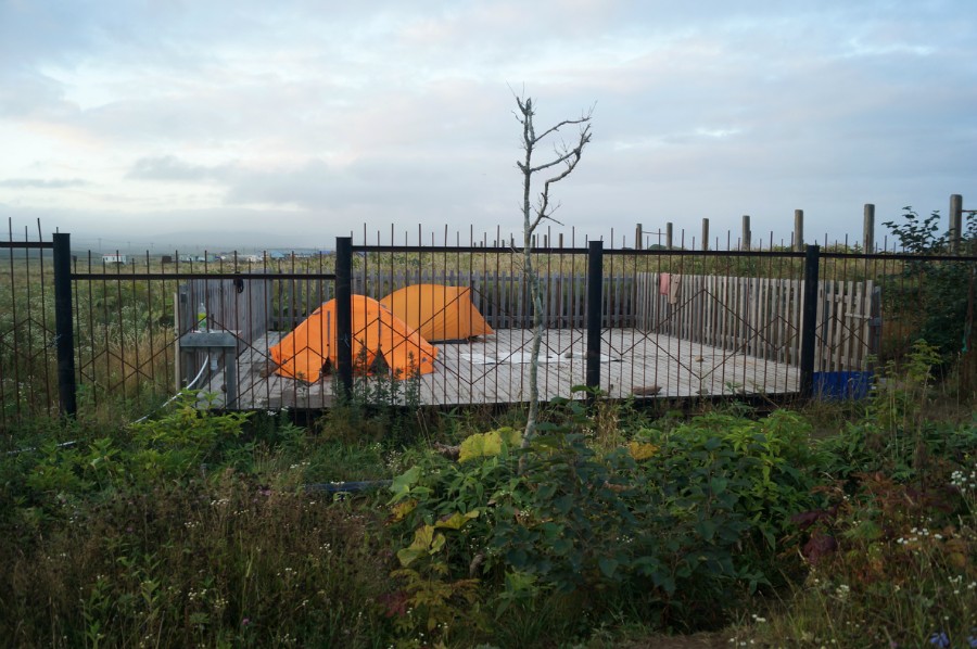 Место для палаток у здания администрации заповедника