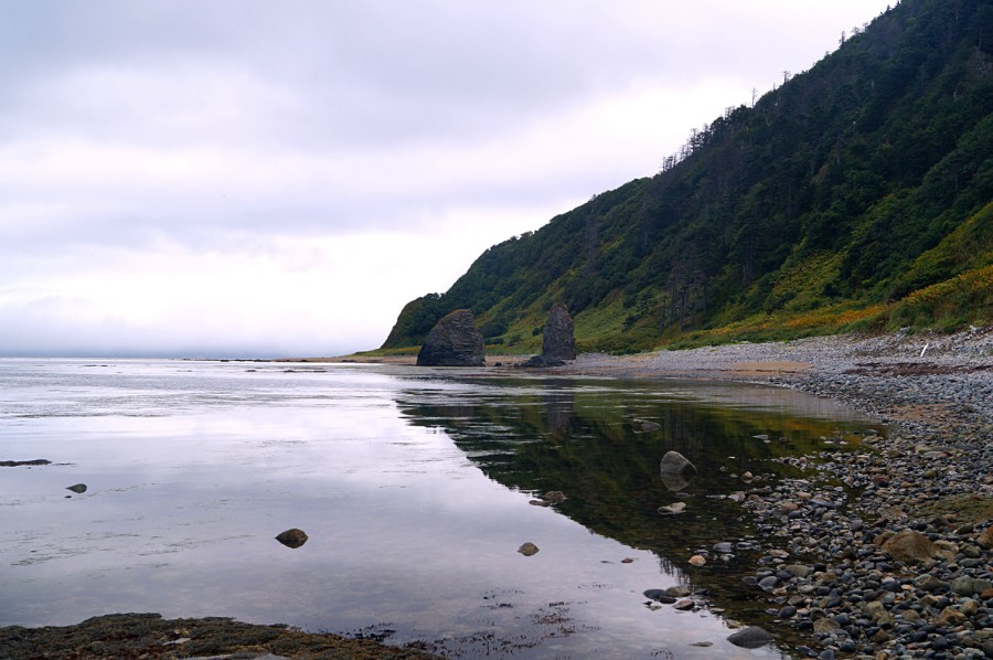 Фото назад, на север. По дороге к мысу Столбчатый от дачного поселка 13 километр