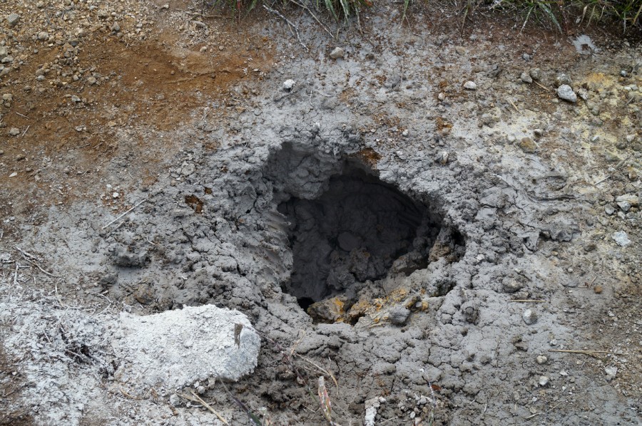 ������������� �����