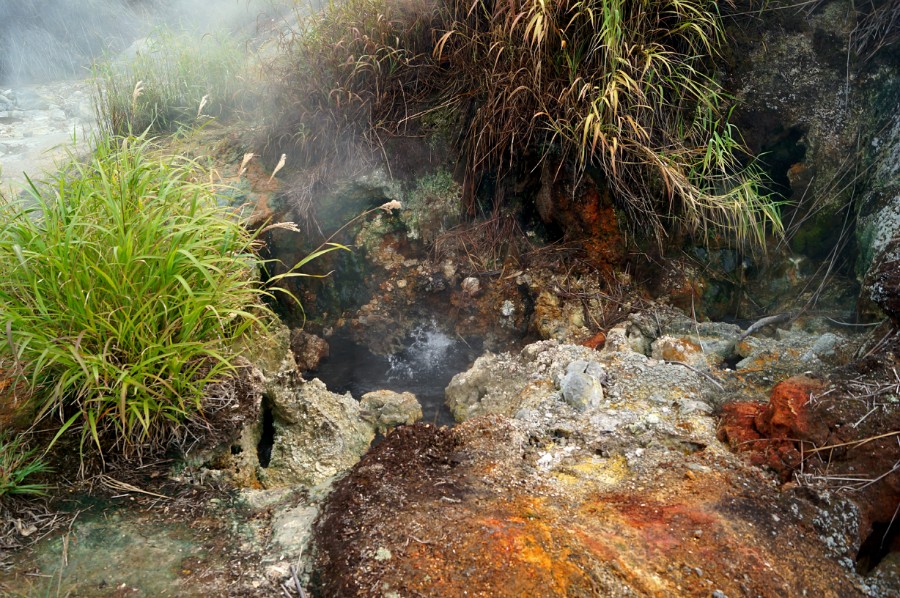 Термальный источник с кипящей водой