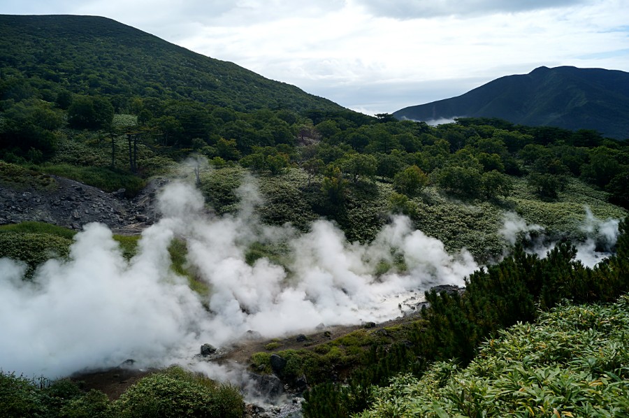 На склонах вулкана Баранского. За паром скрываются два Голубых, Кипящих озера - термальных источников-гейзеров