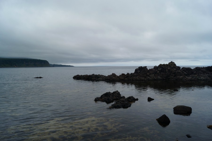 Бухта Лососёвая