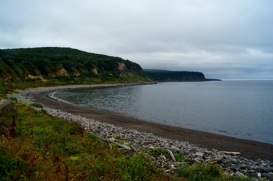 Бухта лососевая с