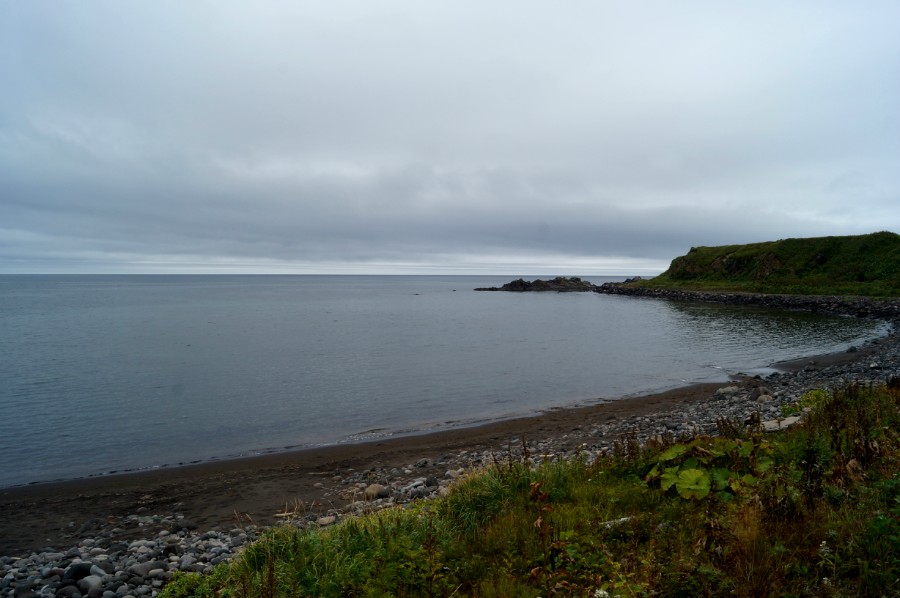 На бухте Лососёвая