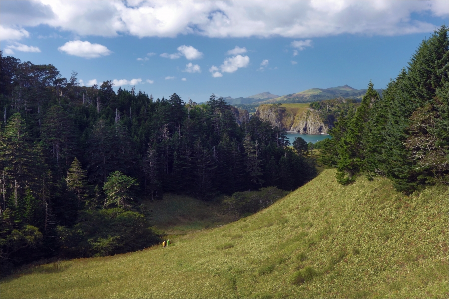 ���������� � ����� ���������