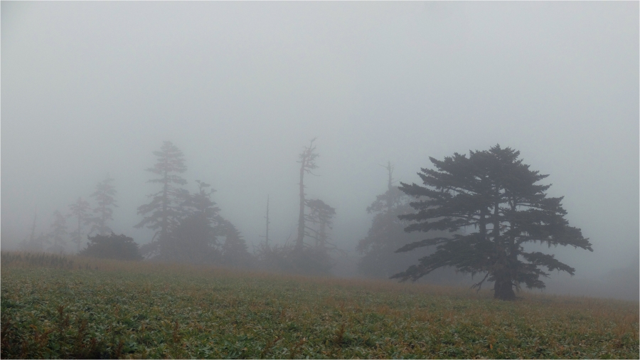 �������� �������