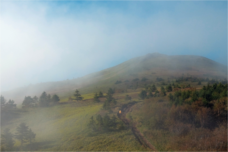 ������� � ��������������