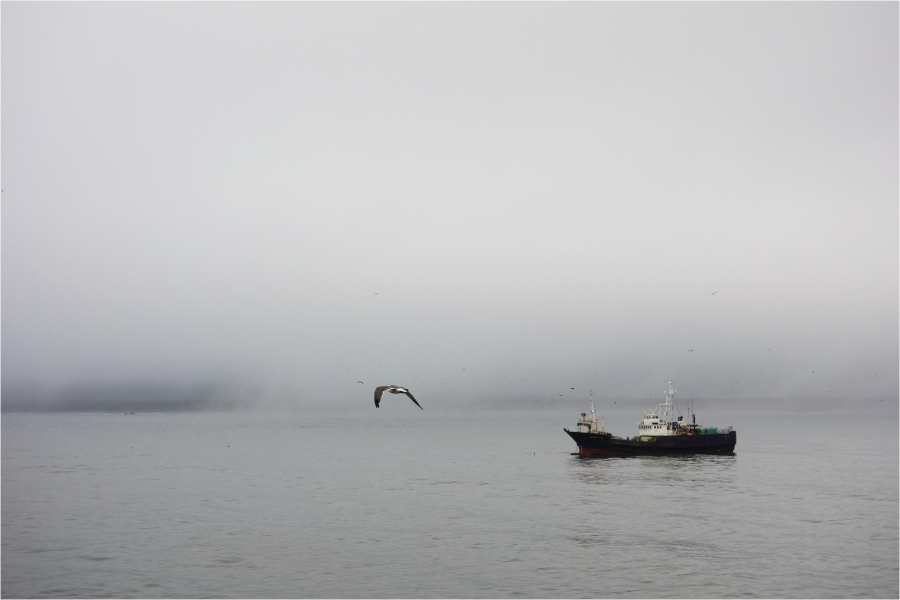 �� �����