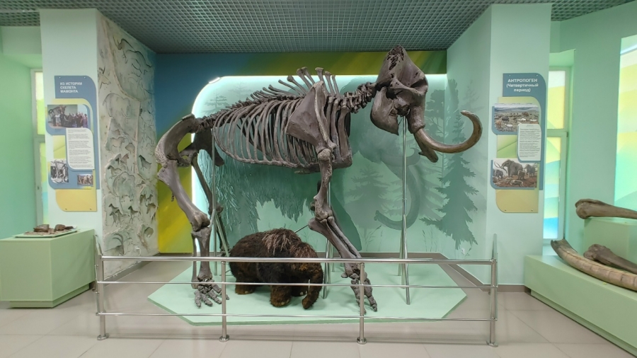 ������ �������