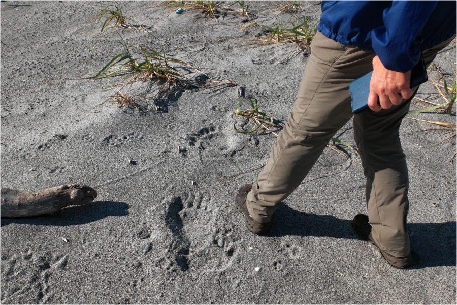 �� ����������, ������!